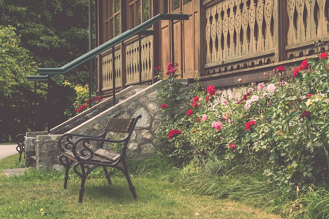 却始终未能 却始终未能