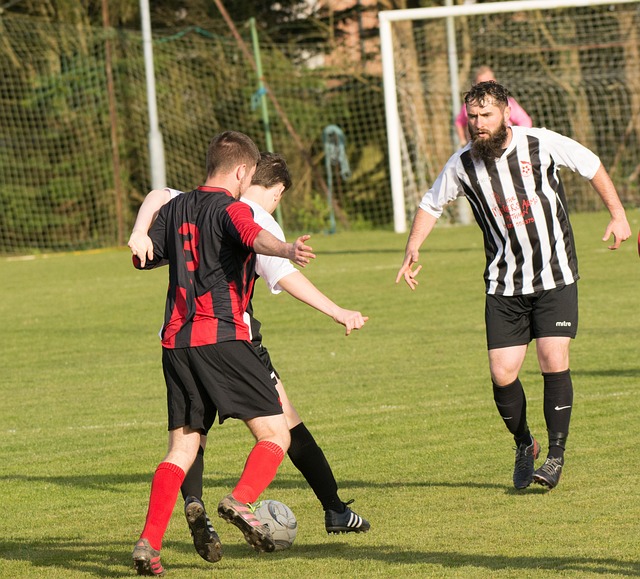 勇士队的整 勇士队的整