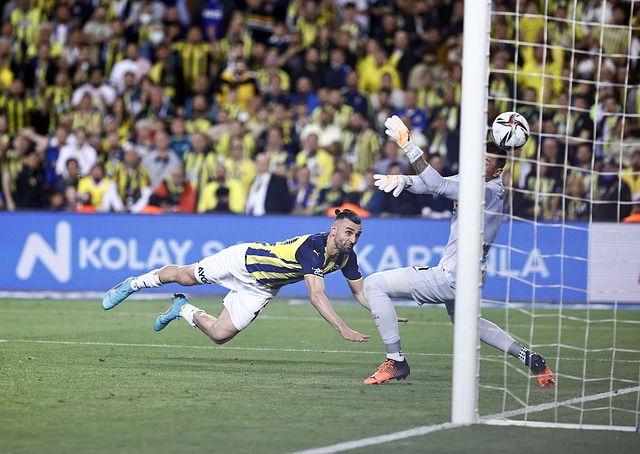 媒体关注的 媒体关注的